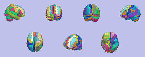 AAL-Patchwork.jpg