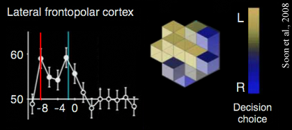 human brain mapping conference